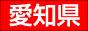 愛知県限定サーチ「あいちふぁいるず」